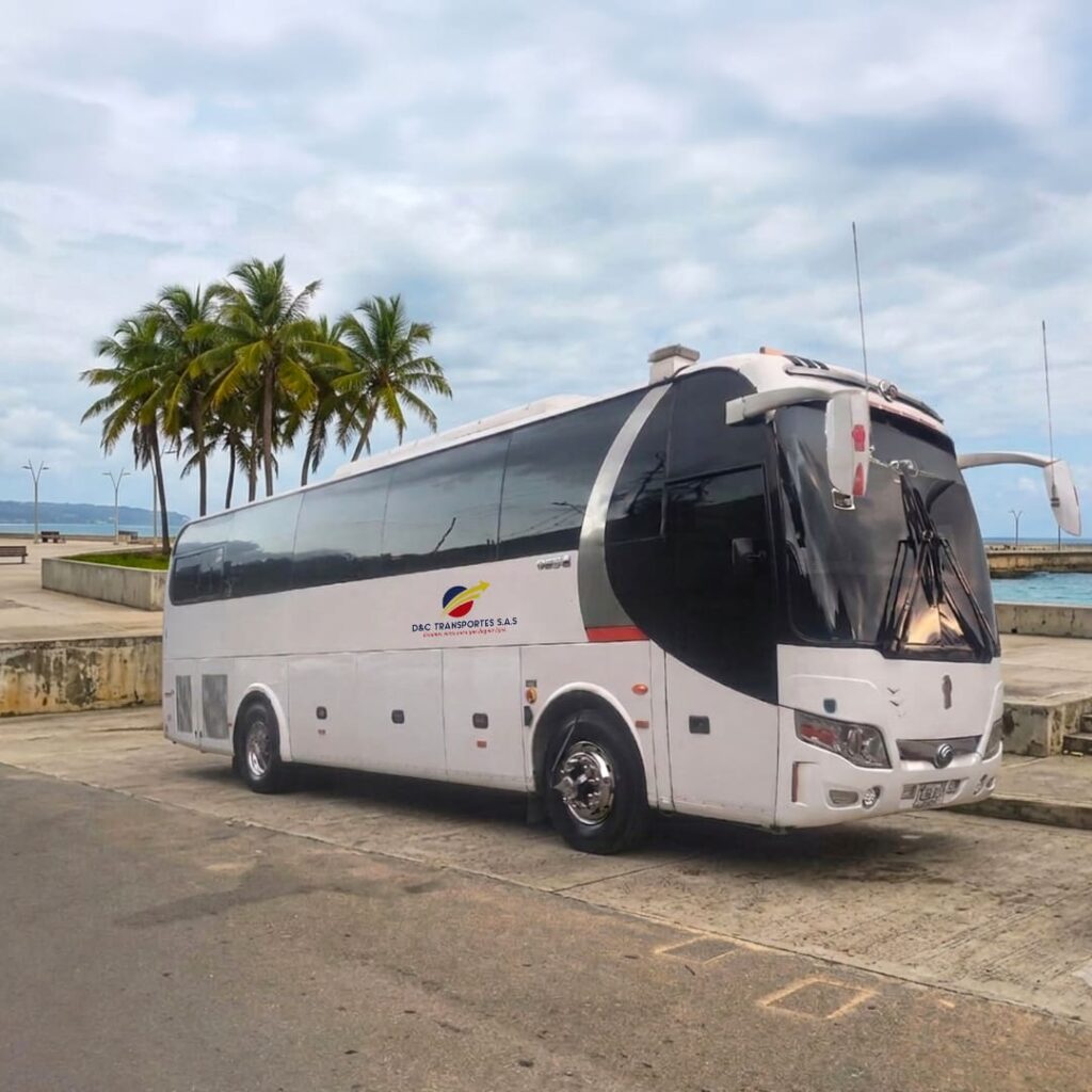 Bus D&C